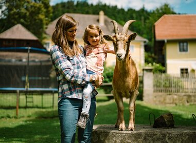 Familienurlaub Staudachhof | © Daniel Gollner